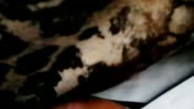 Mature sexe avec un nain wife in lingerie agreed to try sex with a blindfold